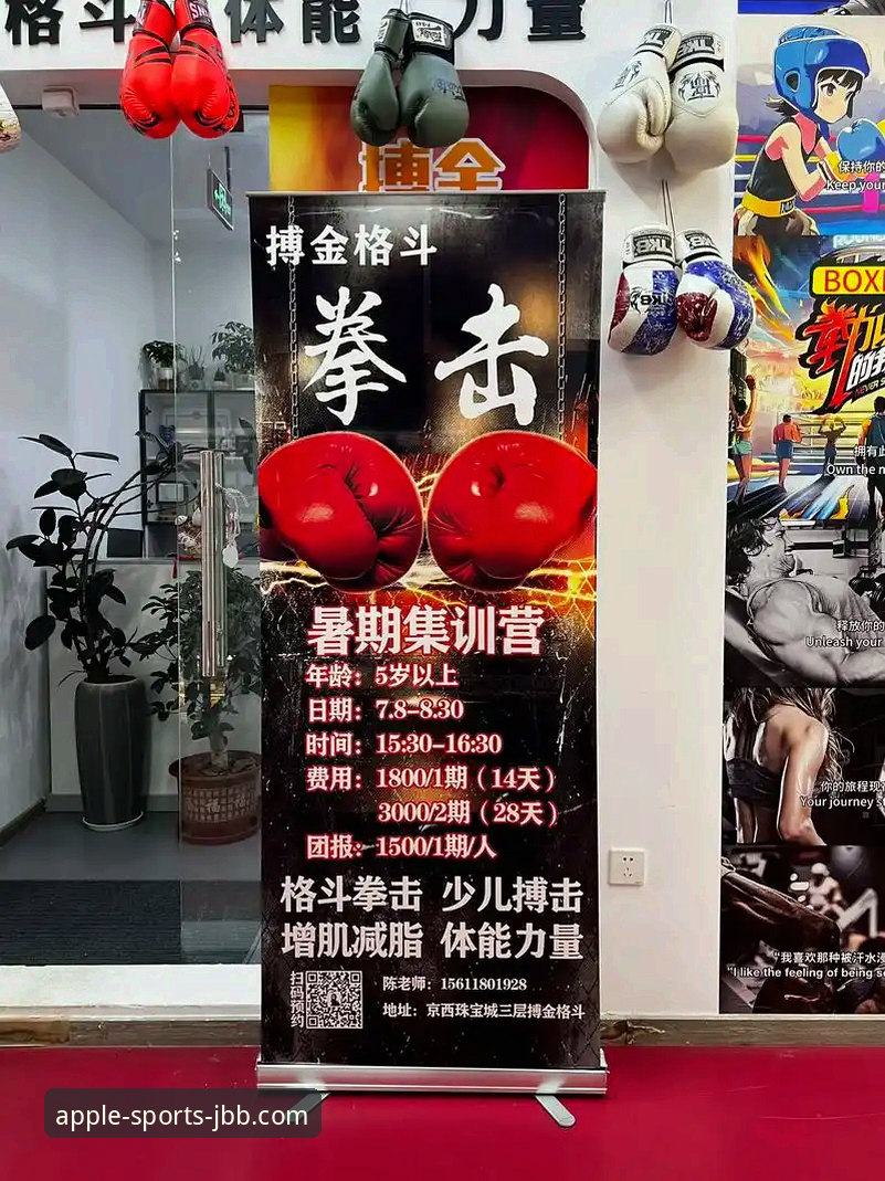 资深用户分享：金宝搏APP官方正版使用指南，三步解锁体育新体验